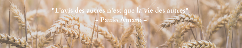 L’avis des autres n’est que la vie des autres – Paulo Amaro –2 Se débarrasser du regard des autres